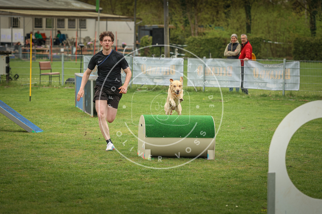 Pfotenfotografie_0L8A1635 | Hundefotografie, Tierfotograf, Pfotenfotografie, Fotoshooting Hund, Hunde Portrait, Hundesport, Hundeportraits, Heideshooting, Hunde, Sportfotograf, Hundefotograf, Turnierhundsport, THS,  - Realisiert mit Pictrs.com