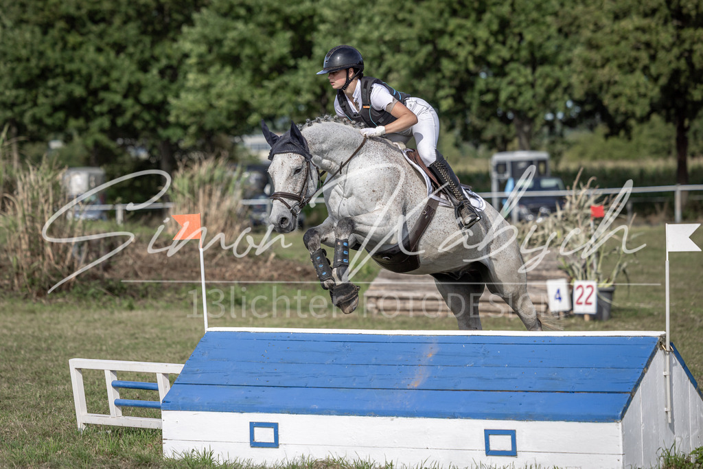 20250907-_3LI9344 | Tierfotografie Pferde, Hunde, Katzen, Haustiere.
Turnierfotografie Reitturniere, Reiten, Springreiten, Dressur in Hanau, dem Main-Kinzig-Kreis und dem Rhein-Main- Gebiet um Frankfurt