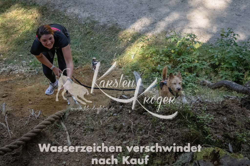 1220_ZZ94060 | kk-dogfotos