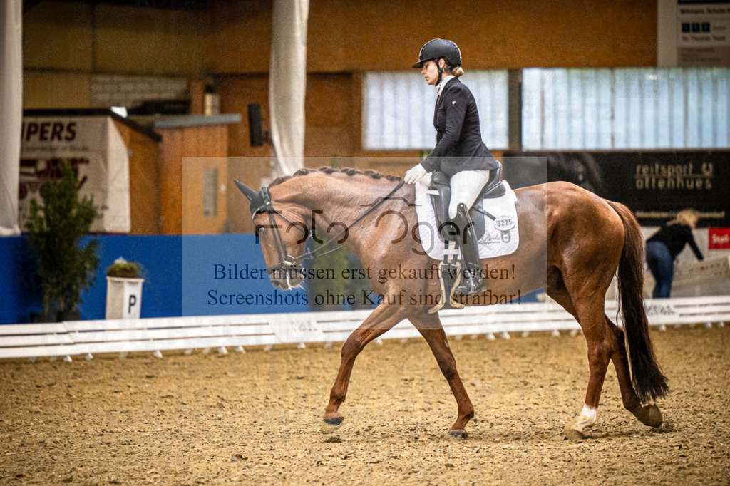 DOS_1108 | Entdecke hochwertige Reitturnierfotos von Foto Oger. Professionell, emotional und authentisch – jetzt Lieblingsmomente im Shop bestellen.Deutschlandweite Turnierfotografie. - Realisiert mit Pictrs.com