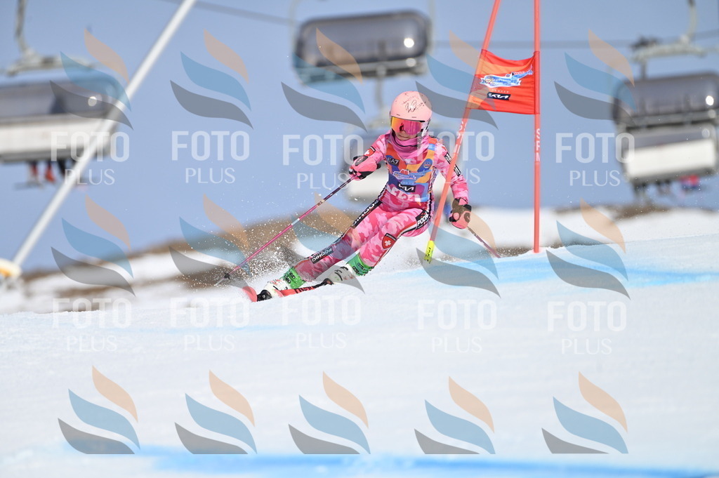 BGV_9991 | holidayphoto