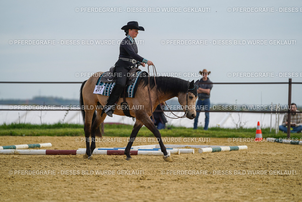 DSC03856 | Pferdegrafie