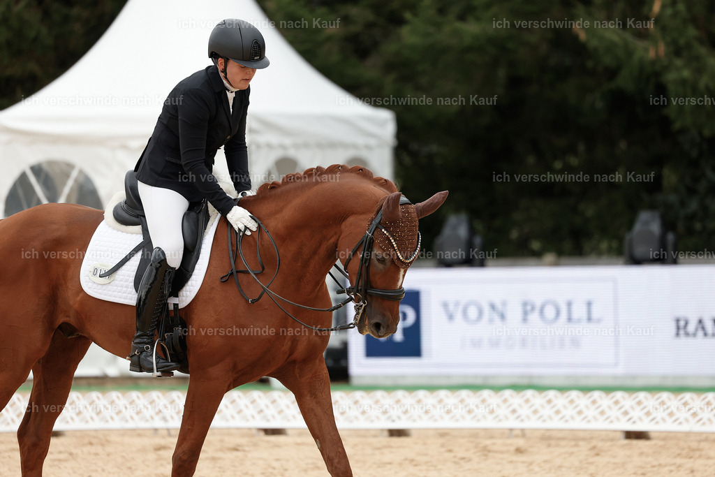 3-111-Dressur M_-StoibPH-2319 | working equitationturnier fotograf videograf stoibphotography marixx film working equitation deutschland reitsport turnierfotografie eventfotografie equestrian events