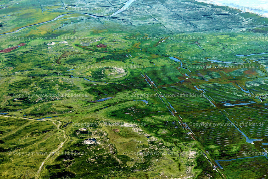 Norderney_Bake_ELS_5701050923 | NORDERNEY 05.09.2023 Seezeichen eine Bake in den Salzwiesen von Norderney in Norderney im Bundesland Niedersachsen, Deutschlandd. // Sea mark of a beacon in the salt marshes of Norderney in Norderney in the state of Lower Saxony, Germany. Foto: Martin Elsen