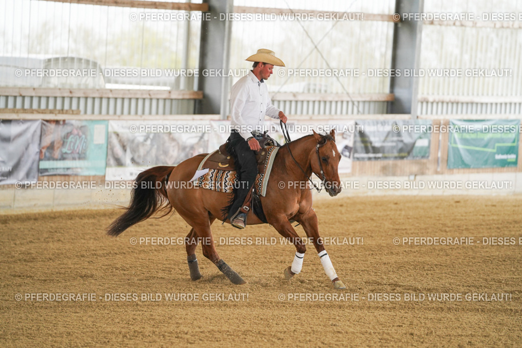 DSC06879 | Pferdegrafie