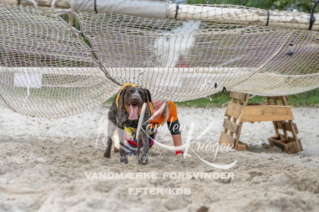 1128_ZZ97002 | kk-dogfotos
