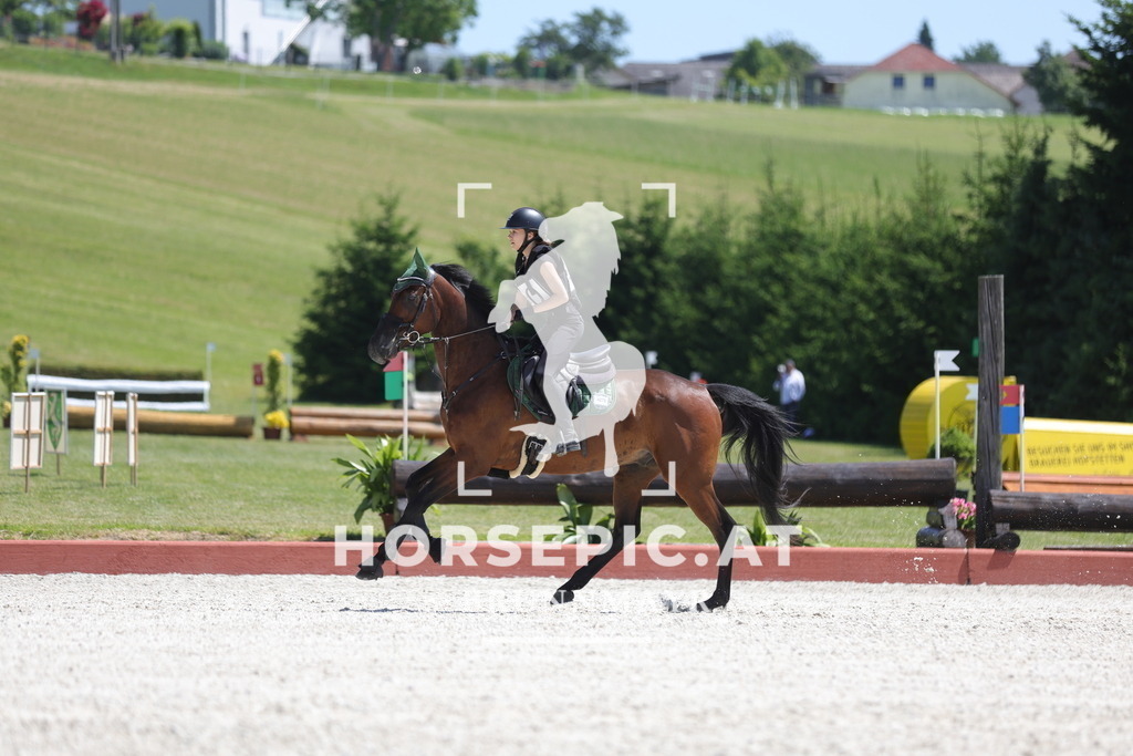 0P6A4013 | Willkommen bei Brunnmayr - Design & Fotografie – Ihrem Spezialisten für Reitturniere und Pferdeveranstaltungen in Oberösterreich, Salzburg und Bayern! Seit über 17 Jahren sind wir leidenschaftlich dabei.