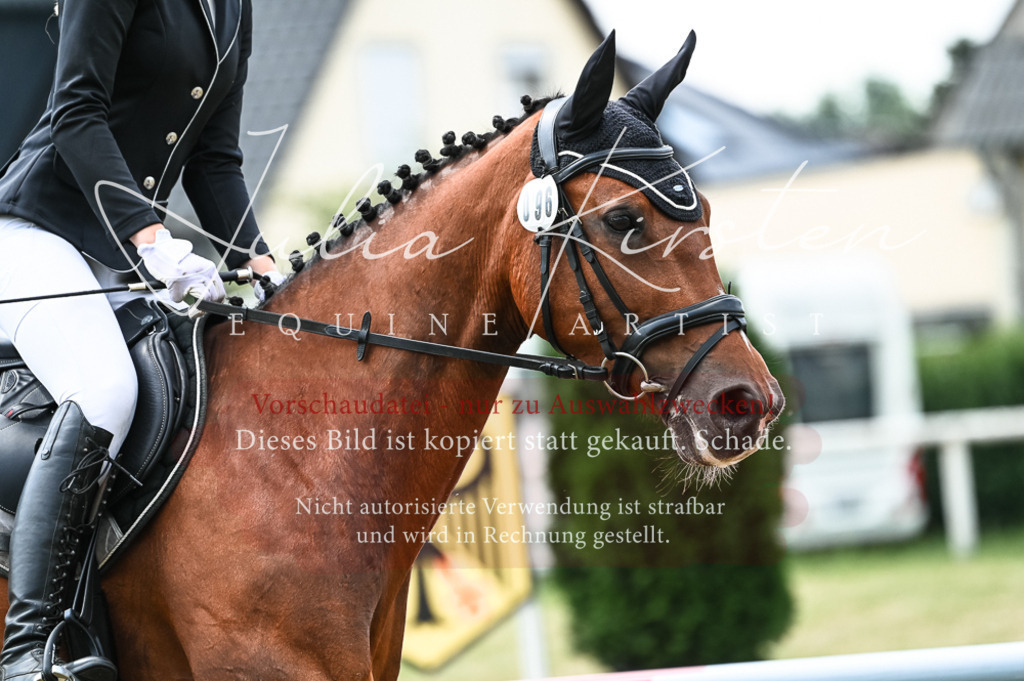 DSC_9029 | Pferde- und Turnierfotografie in Westsachsen. Pferdeportraits, Auftragszeichnungen und intuitive Kunst.