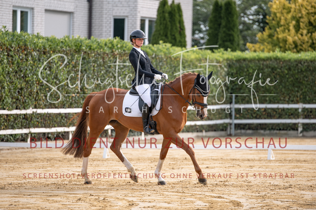 Schugtsche-Aluta25-40.DressurprfA_-82 | Schugtsche Fotografie - Realisiert mit Pictrs.com
