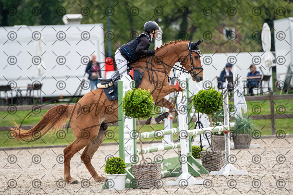 KPT_2053 | andre_photographic