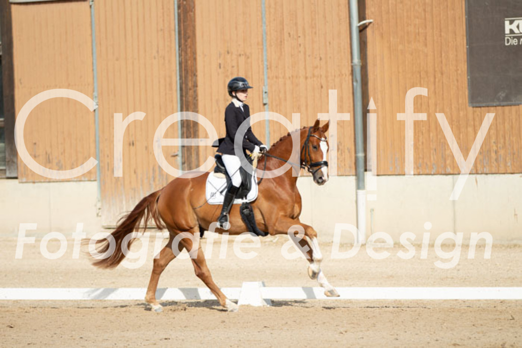 IMG_0656 | Creatify Fotografie