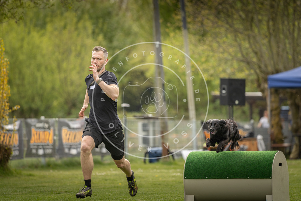 Pfotenfotografie_DV3A6608 | Hundefotografie, Tierfotograf, Pfotenfotografie, Fotoshooting Hund, Hunde Portrait, Hundesport, Hundeportraits, Heideshooting, Hunde, Sportfotograf, Hundefotograf, Turnierhundsport, THS,  - Realisiert mit Pictrs.com