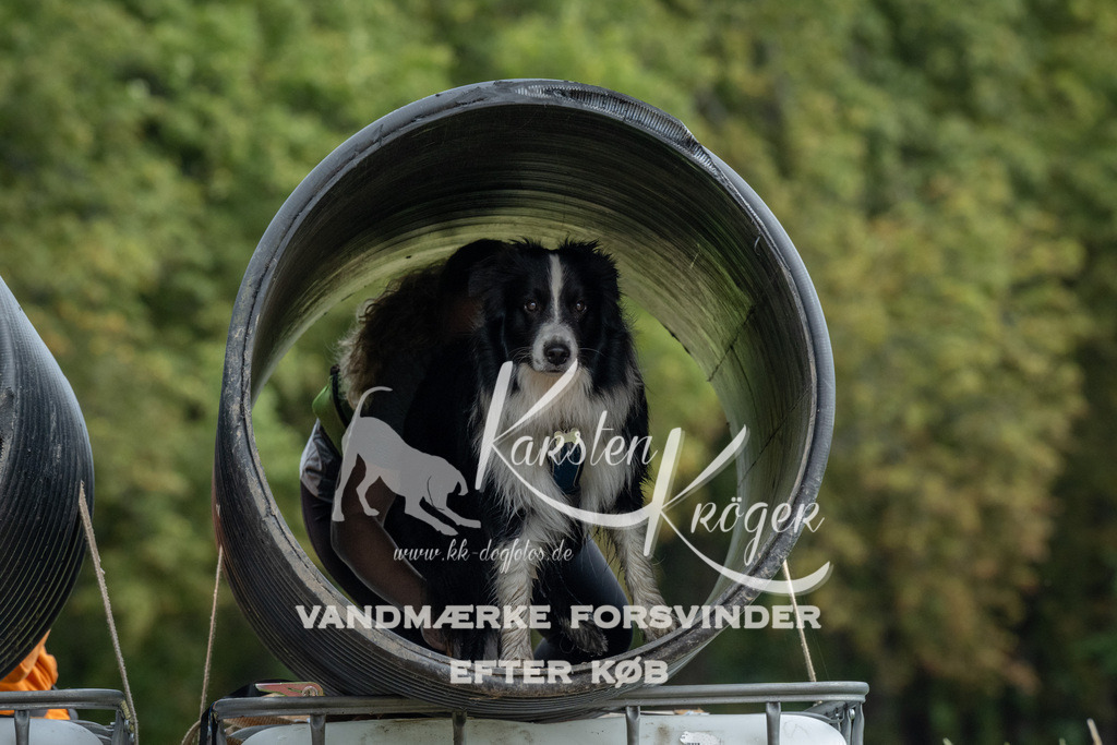 1149_ZZ90651 | kk-dogfotos