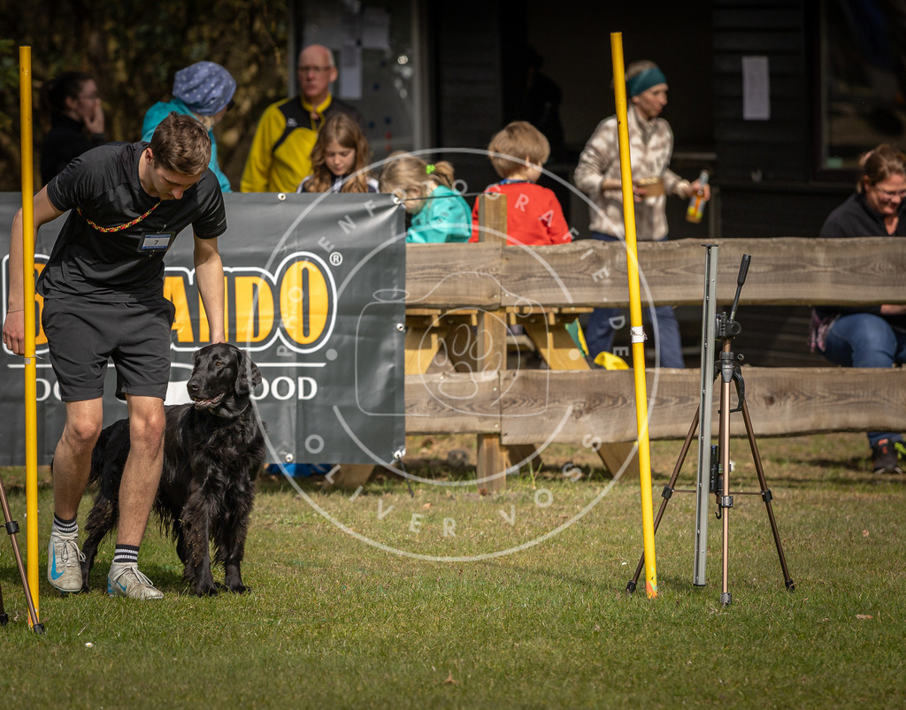 Pfotenfotografie_DV3A9298 | Hundefotografie, Tierfotograf, Pfotenfotografie, Fotoshooting Hund, Hunde Portrait, Hundesport, Hundeportraits, Heideshooting, Hunde, Sportfotograf, Hundefotograf, Turnierhundsport, THS,  - Realisiert mit Pictrs.com