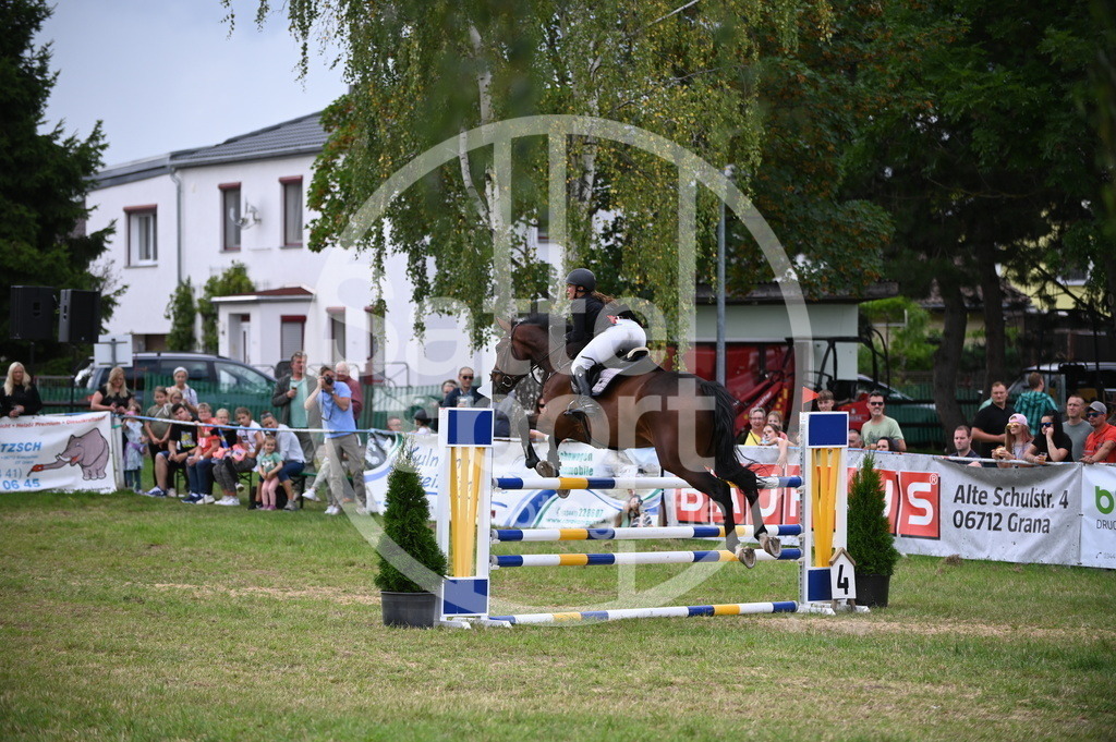 DSC_7960 | sattelsport - Realisiert mit Pictrs.com