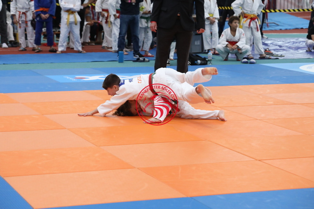 1J7A2483 | Fotos vom Adler Cup - Pictures from Adler Cup

Hier findet Ihr alle Eindrücke und großen Momente der Adler Cup Wochenenden. Here you will find all impressions and great moments of the Adler Cup weekends. - Realisiert mit Pictrs.com