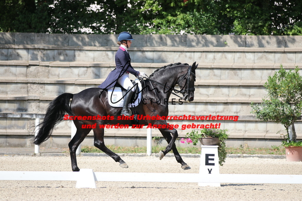 IMG_9432 | lmwpictures - Realisiert mit Pictrs.com