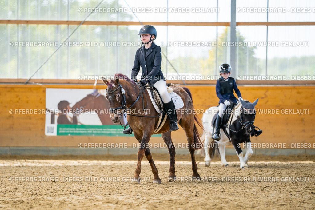 DSC01369 | Pferdegrafie