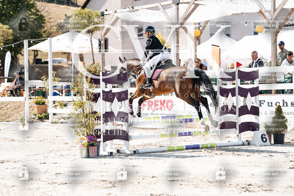 CK905059 | Turnierfotografie Pferdefotografie Trier Rheinland-Pfalz Pferdesport Reitsport Tierfotografie Sportfotografie Pferdevideo Pferdevideografie Equestrianvideography equestrianphotography  - Realisiert mit Pictrs.com