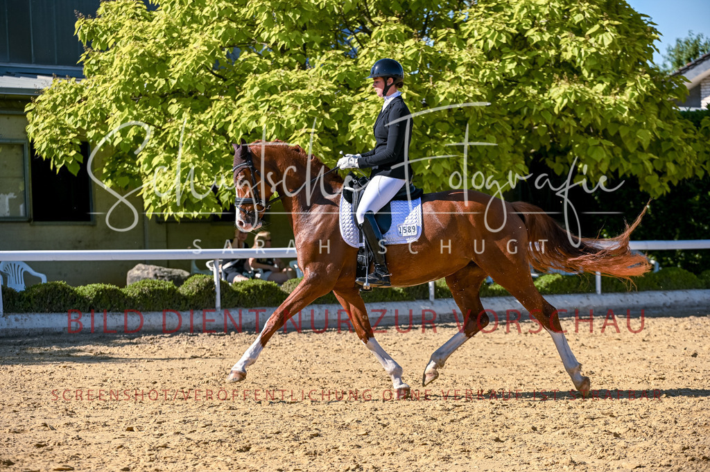 Schugtsche-Aluta25-50.Dressurpferdeprf.L-281 | Schugtsche Fotografie - Realisiert mit Pictrs.com