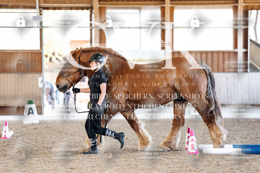 CK906314 | Turnierfotografie Pferdefotografie Trier Rheinland-Pfalz Pferdesport Reitsport Tierfotografie Sportfotografie Pferdevideo Pferdevideografie Equestrianvideography equestrianphotography  - Realisiert mit Pictrs.com
