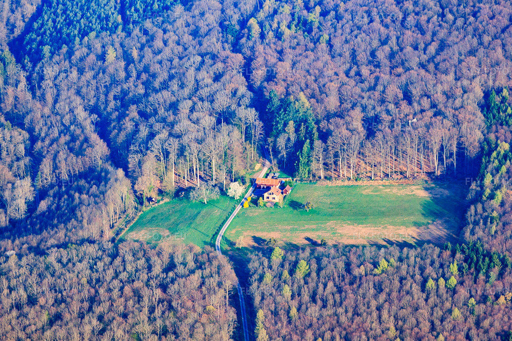 Vue aérienne: Maison dans une clairière, rue de la Nonnenhardt à Langensoultzbach dans le département Bas Rhin, France – .Photo: IMG_63691.jpg prise le 30/03/2014 par Werner Riehm/FLY-FOTO.eu – Résolution de l'original: 4529 x 3019 px