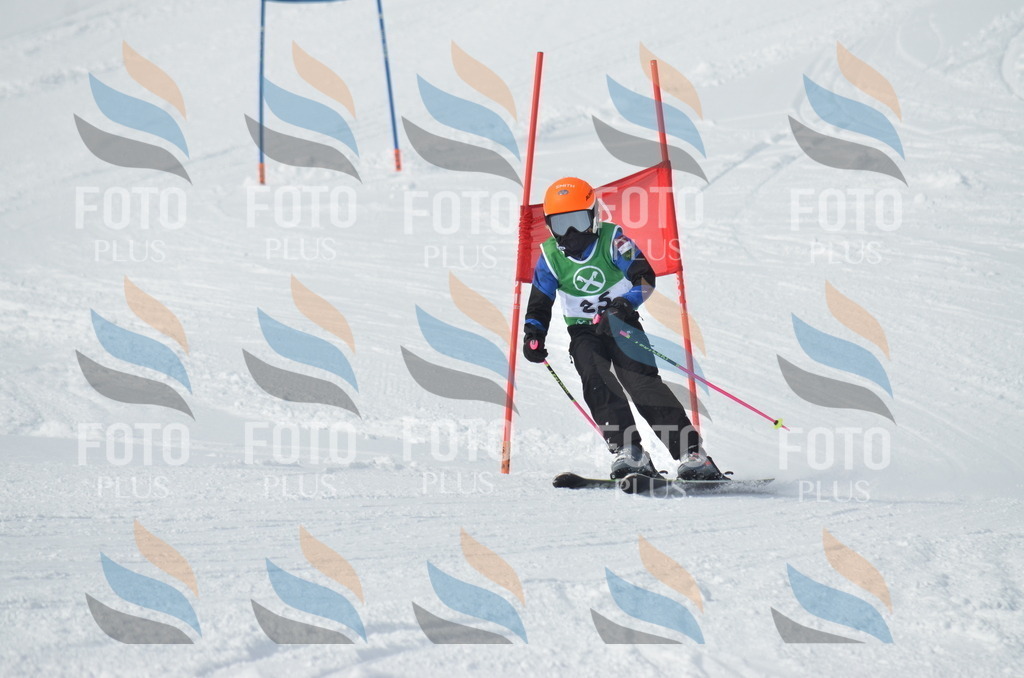 D8604 | holidayphoto