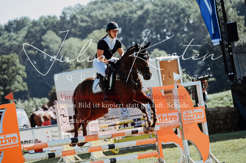 DSC_5710 | Pferde- und Turnierfotografie in Westsachsen. Pferdeportraits, Auftragszeichnungen und intuitive Kunst.