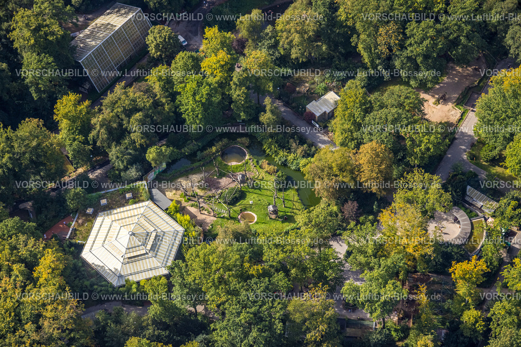 Dortmund231000298 | Luftbild, Rombergpark und Zoo, Rombergpark-Lücklemberg, Dortmund, Ruhrgebiet, Nordrhein-Westfalen, Deutschland