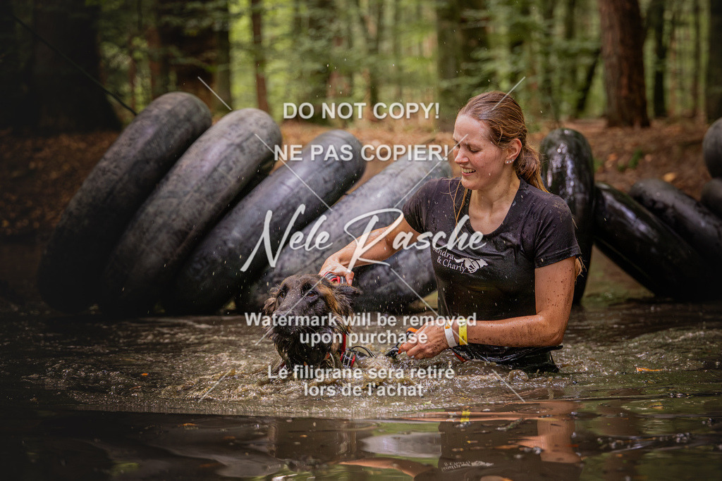 nelerasche_SaWingst1000-1030_245 | nelerasche