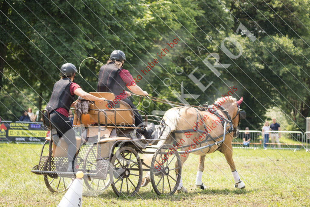 IMG_8505 | Sport-, Event- und Tierfotos in Profiqualität. Einfach auswählen, bestellen und herunterladen. Dein Moment – perfekt festgehalten.