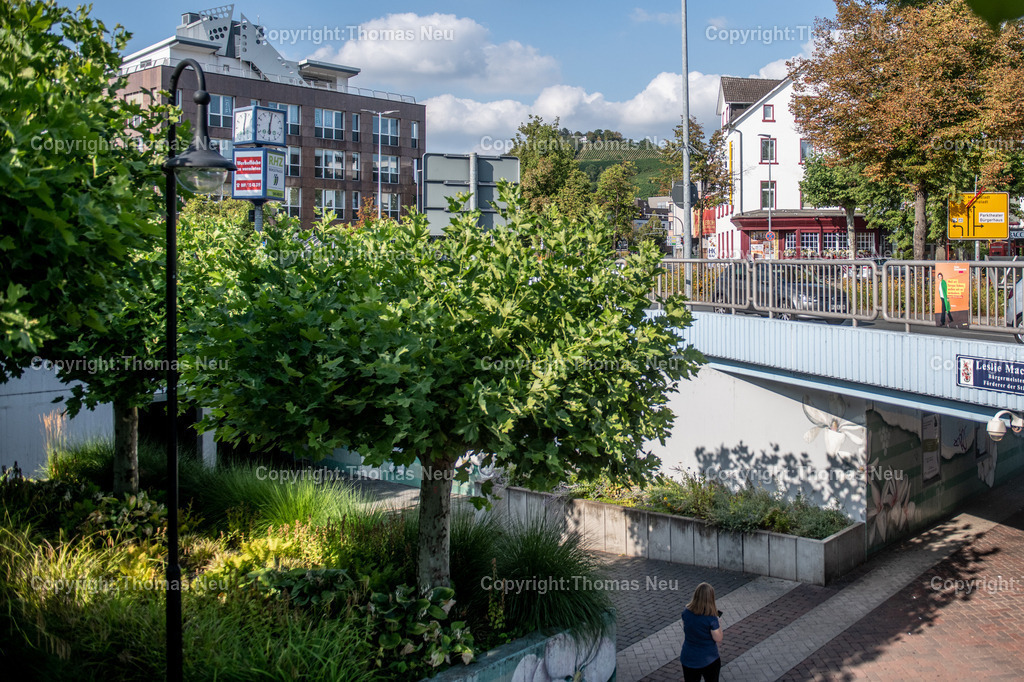 DSC_6509 | Der Bahnhof Bensheim ist ein wichtiger Verkehrsknotenpunkt an der Hessischen Bergstraße. Die Bilder zeigen Gleisanlagen, Bahnsteige, Züge und die Architektur des Bahnhofs im Wandel der Zeit. Fotografien aus dem Alltag des Bahnverkehrs und dem Stadtbild von Bensheim.