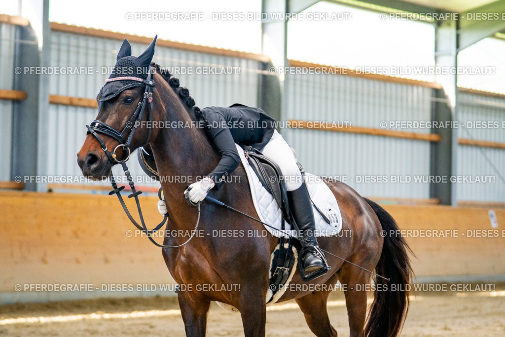 DSC06399 | Pferdegrafie