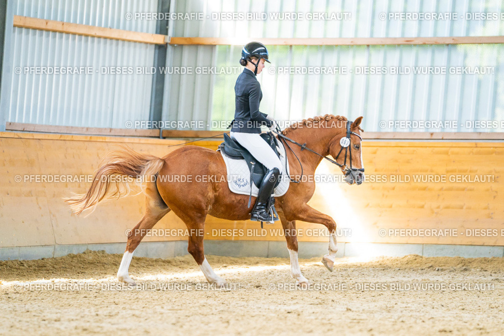 DSC08130 | Pferdegrafie