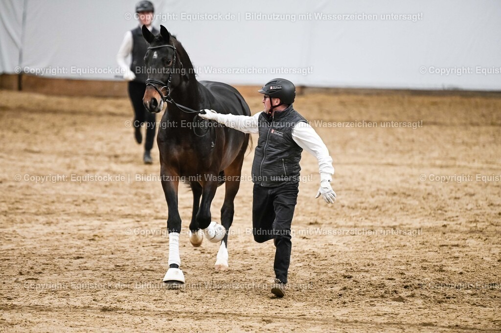 20260307_Hengstvorstellung-Marbach_0297 | equistock