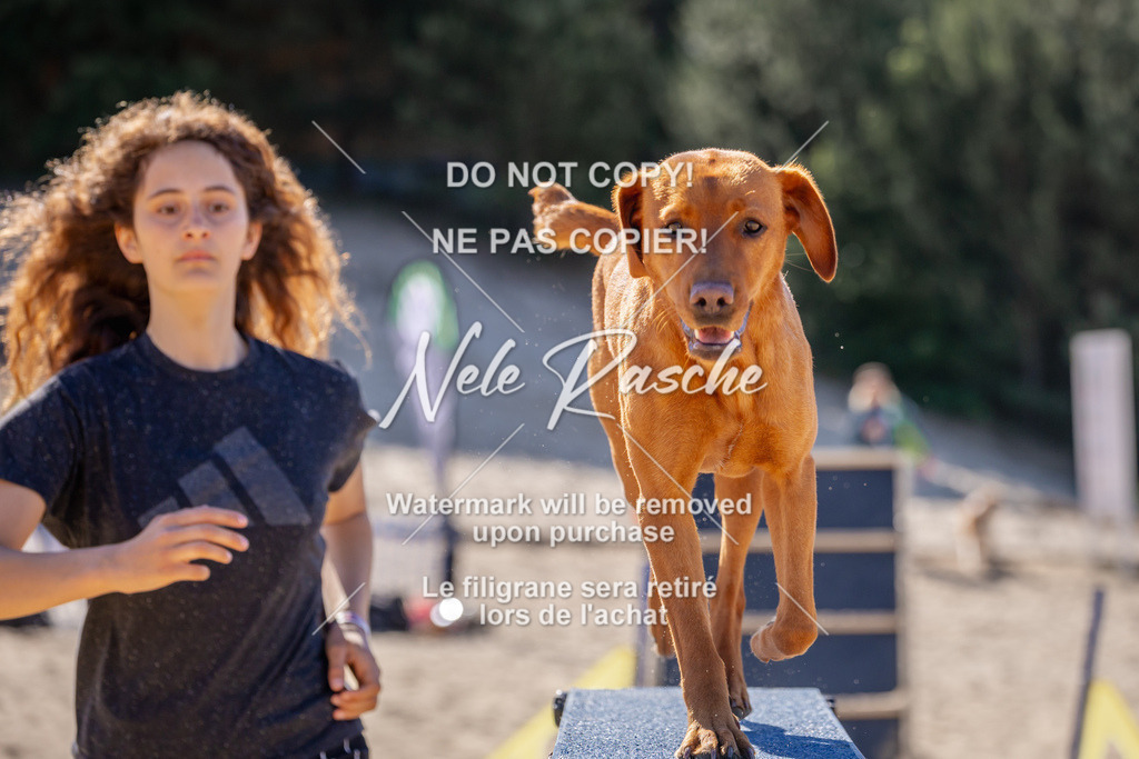 NR__0602 | nelerasche