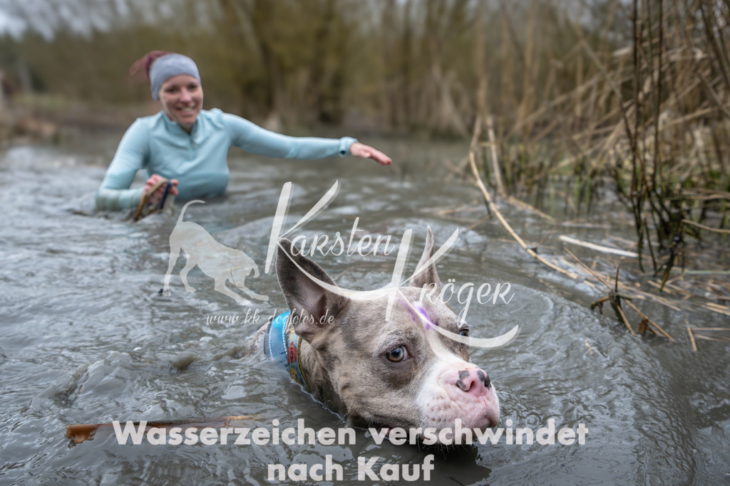 1001_ZZ95247 | kk-dogfotos