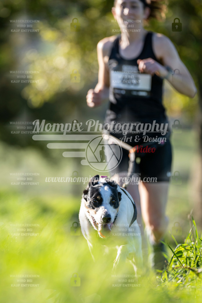 MompixPhotography_20TSB_E3_Run-128 | PayLife