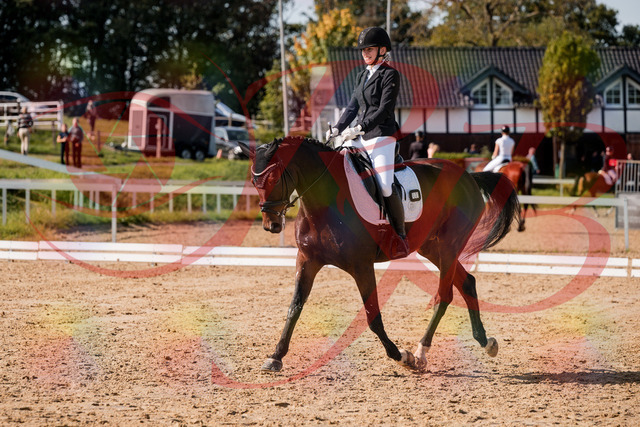 2026_10_03_Siefer-Hof_125543_Z63_62818481 | Professionelle Reitsport-, Turnier- und Eventfotografie von Robert Broda. Galerien mit ausgewählten und bearbeiteten Bildern direkt online ansehen und bestellen.