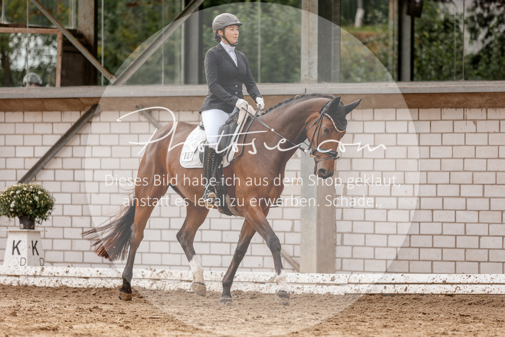 3I6A7167 | Stimmungsvolle Portraits und Reitsportfotografie im Ruhrgebiet und im Münsterland.

Pferdefotografie, Hundefotografie, Tierfotografie, Reportagen, Portraits von Tier und Mensch, Turnierfotografie in Bochum, Recklinghausen, Marl, Haltern am See, Dülmen.. - Realisiert mit Pictrs.com