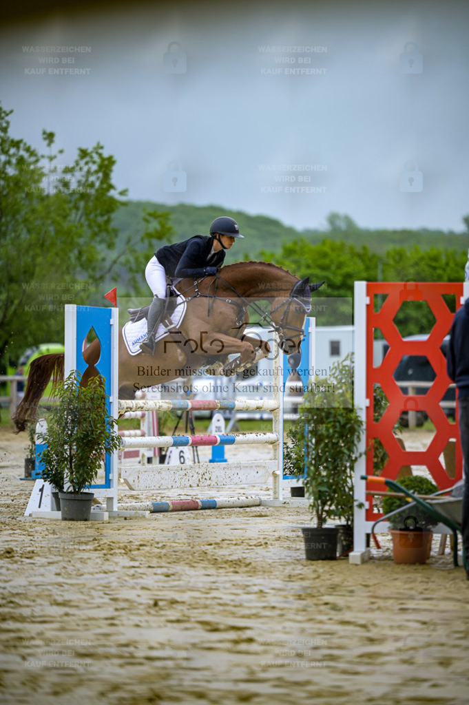 Reitturnier Lienen | Entdecke hochwertige Reitturnierfotos von Foto Oger. Professionell, emotional und authentisch – jetzt Lieblingsmomente im Shop bestellen. - Realisiert mit Pictrs.com