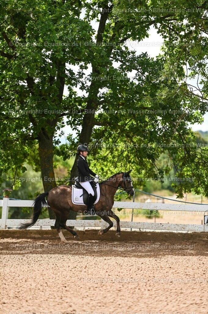 20230716_10-1_Reiter-WB Schritt - Trab - Galopp_0196 | equistock