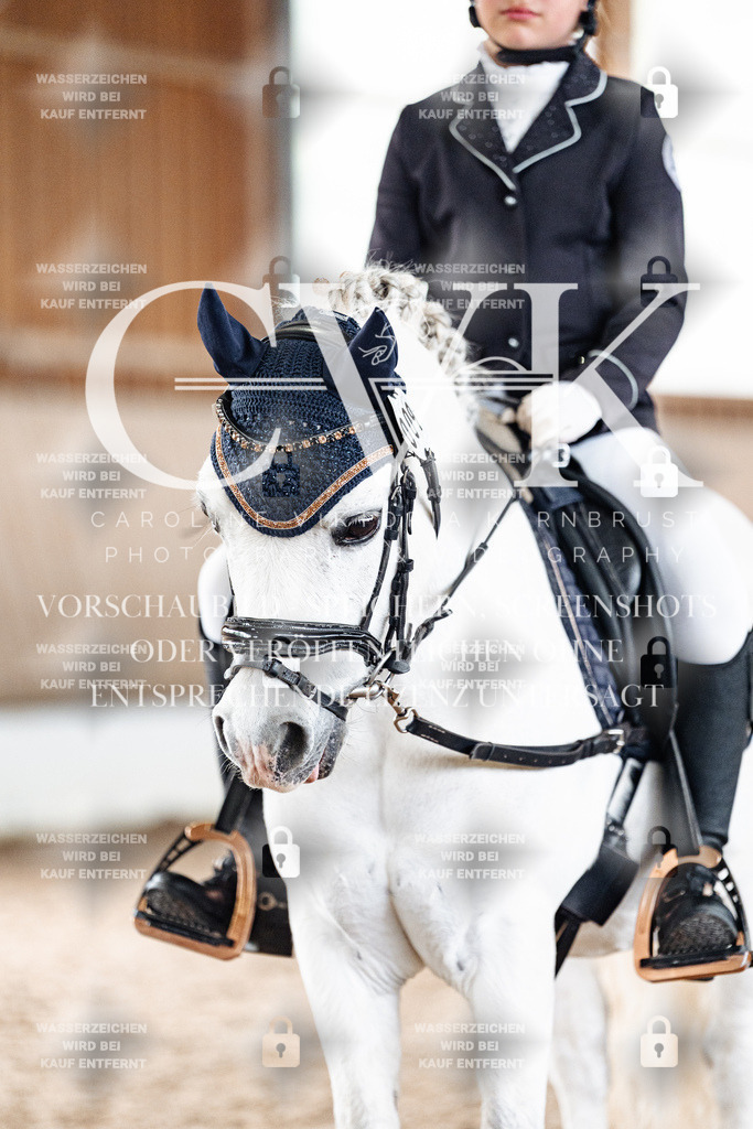 CK900995 | Turnierfotografie Pferdefotografie Trier Rheinland-Pfalz Pferdesport Reitsport Tierfotografie Sportfotografie Pferdevideo Pferdevideografie Equestrianvideography equestrianphotography  - Realisiert mit Pictrs.com