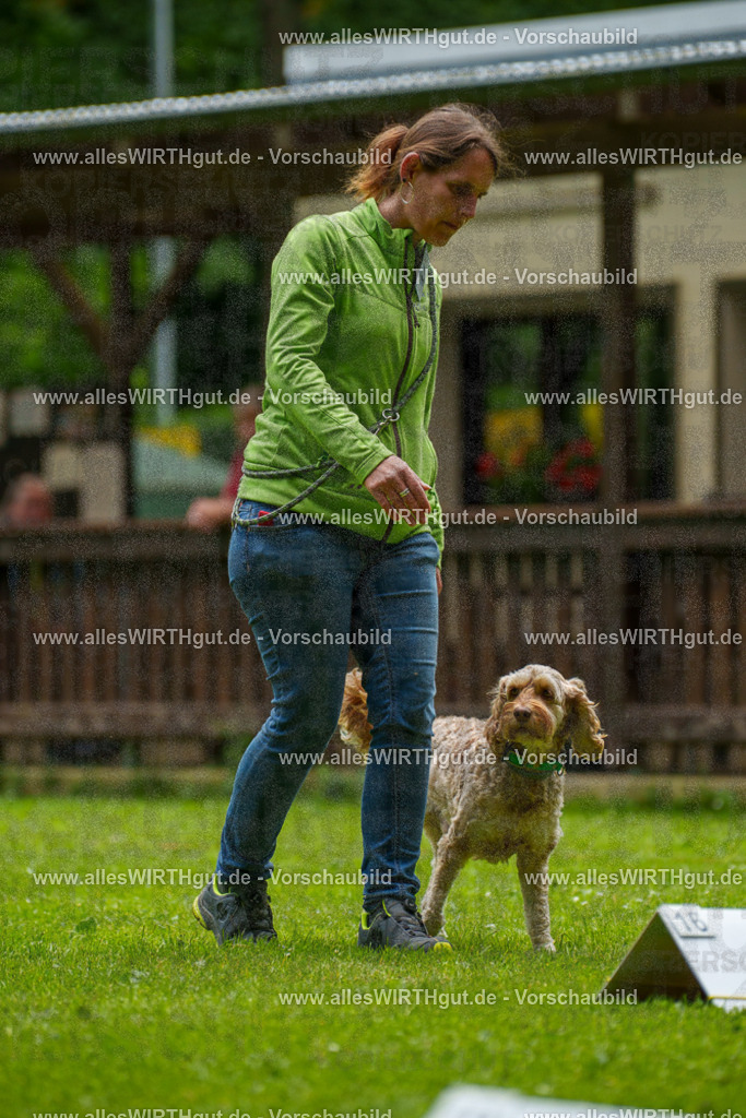 @allesWIRTHgut_Tierfotografie - www.allesWIRTHgut.de - 092333-7R507039 | Professionelle Tierfotografie in Mönchengladbach von Daniel Wirth (allesWIRTHgut). Liebevolle & natürliche Bilder von Hunden & Katzen für unvergessliche Erinnerungen.