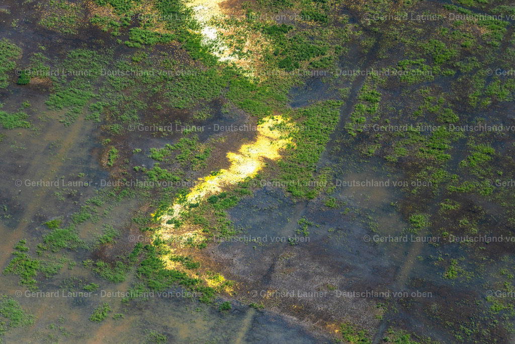 4028873 | Büttelsgraben, Naturschutzgebiet Hollerland, BREMEN 01.06.2020 Uferbereiche und überschwemmte Flutungswiesen durch Hochwasser- Pegel führendes Flußbett im Ortsteil Borgfeld in Bremen, Deutschland. // Riparian areas and flooded flood meadows due to a river bed leading to flood levels in the district Borgfeld in Bremen, Germany. Foto: Gerhard Launer