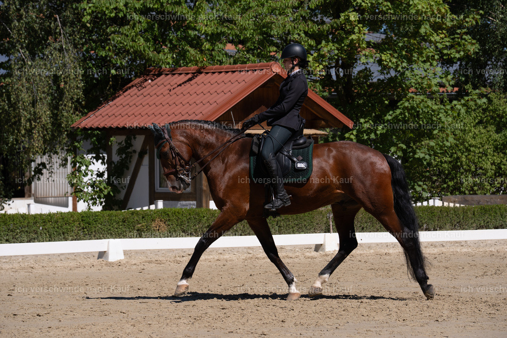 __105_sinafilmart_IN07879 | working equitationturnier fotograf videograf stoibphotography marixx film working equitation deutschland reitsport turnierfotografie eventfotografie equestrian events