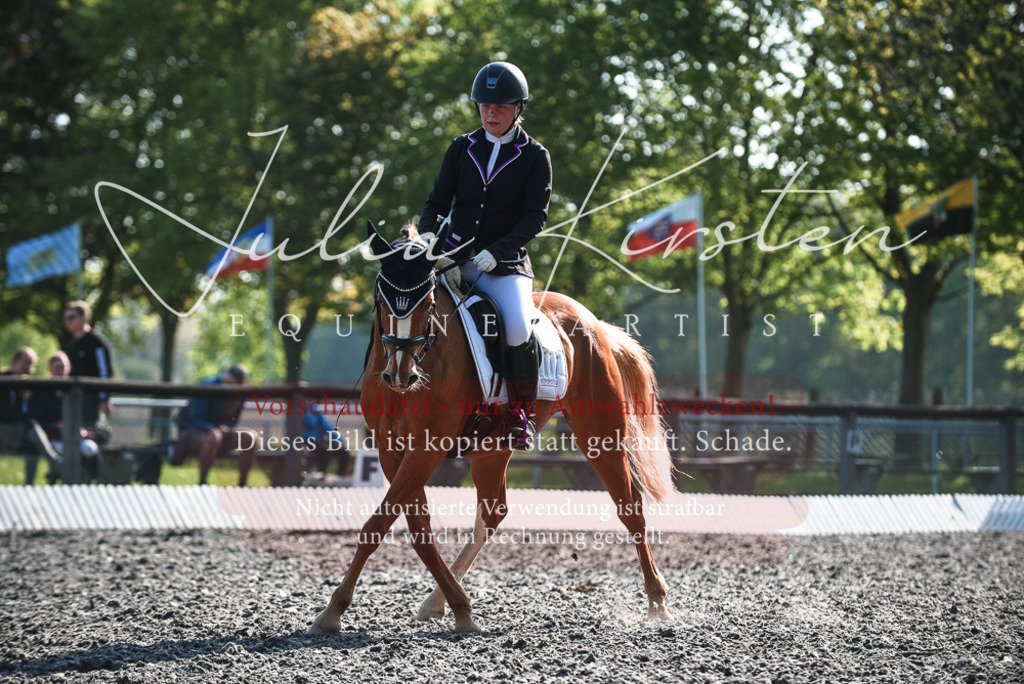 DSC_8436 | Pferde- und Turnierfotografie in Westsachsen. Pferdeportraits, Auftragszeichnungen und intuitive Kunst.