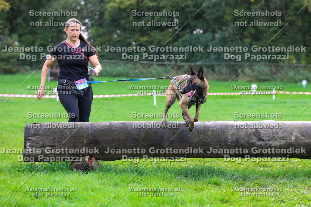 Dog Paparazzi -  SD1026-2115 | Dog Paparazzi Jeanette Grottendiek Fotografie & Videografie - Realisiert mit Pictrs.com