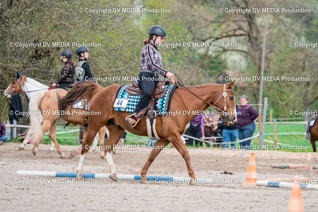 BAL02572 | dv-media-shop - Realisiert mit Pictrs.com