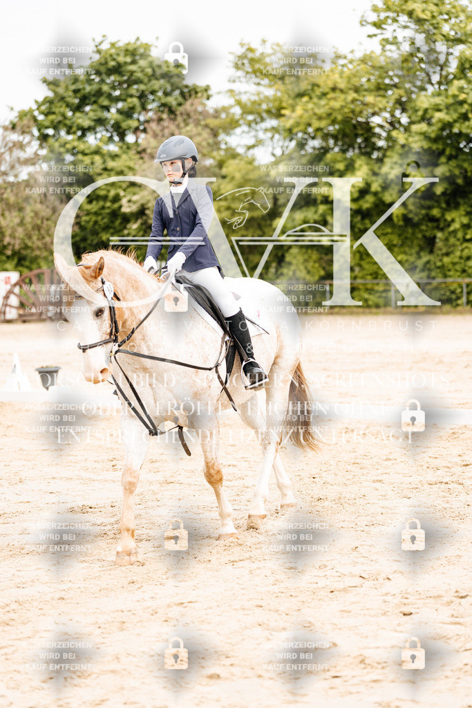 CK904294 | Turnierfotografie Pferdefotografie Trier Rheinland-Pfalz Pferdesport Reitsport Tierfotografie Sportfotografie Pferdevideo Pferdevideografie Equestrianvideography equestrianphotography  - Realisiert mit Pictrs.com